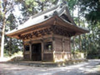 kongouin